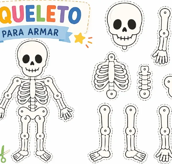 Esqueleto para armar